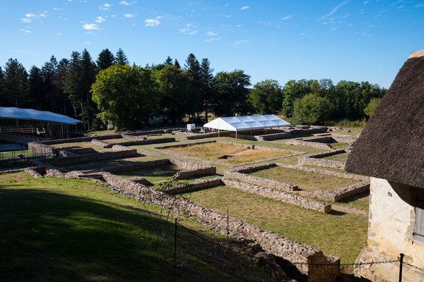 les accessoires pour des desserts légers et peu caloriques