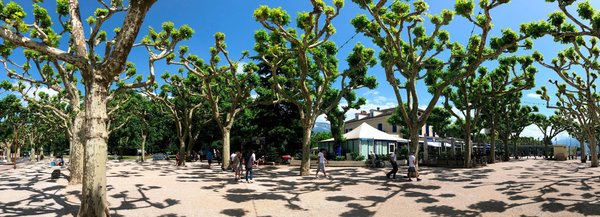 Le chat a peur de l'eau : nos conseils pour lui donner son bain