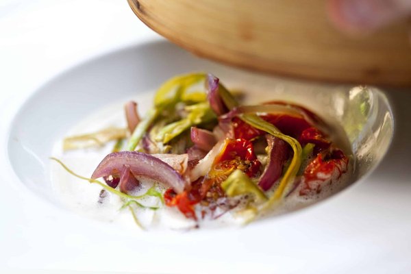 Les meilleures sources de protéines végétales pour une alimentation saine